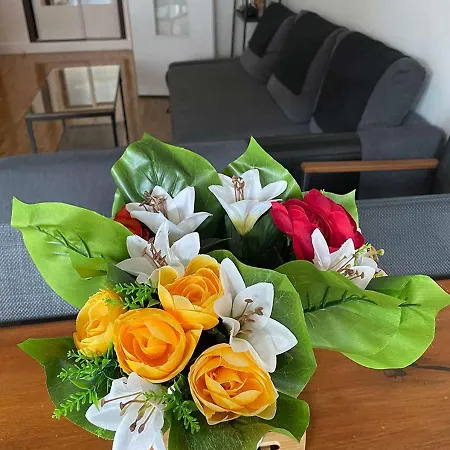 Apartment Saint-remi Reims